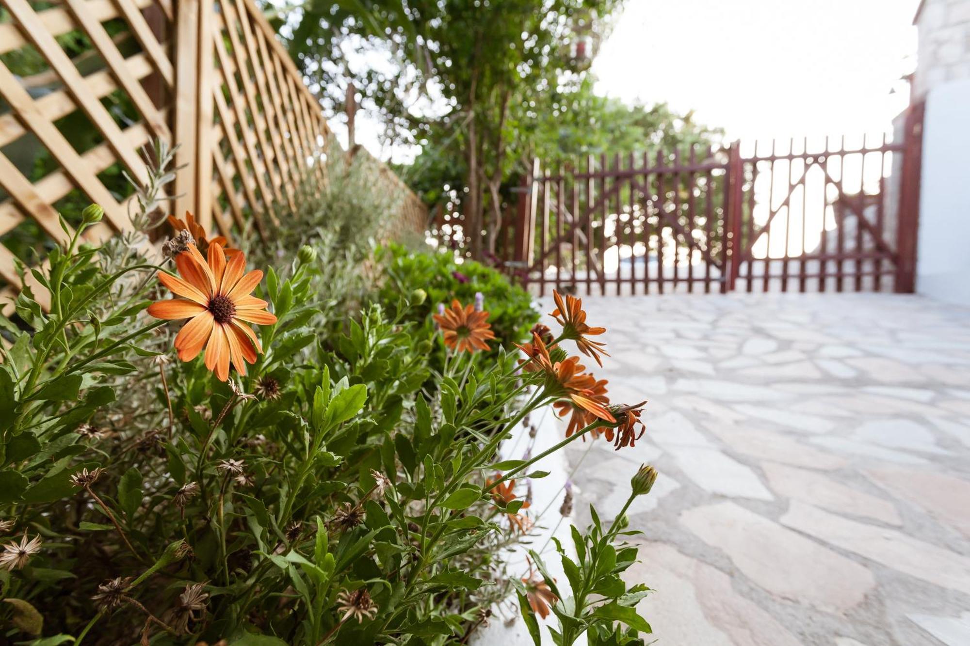 Serenity Studio For Couples Asgourou Exterior photo